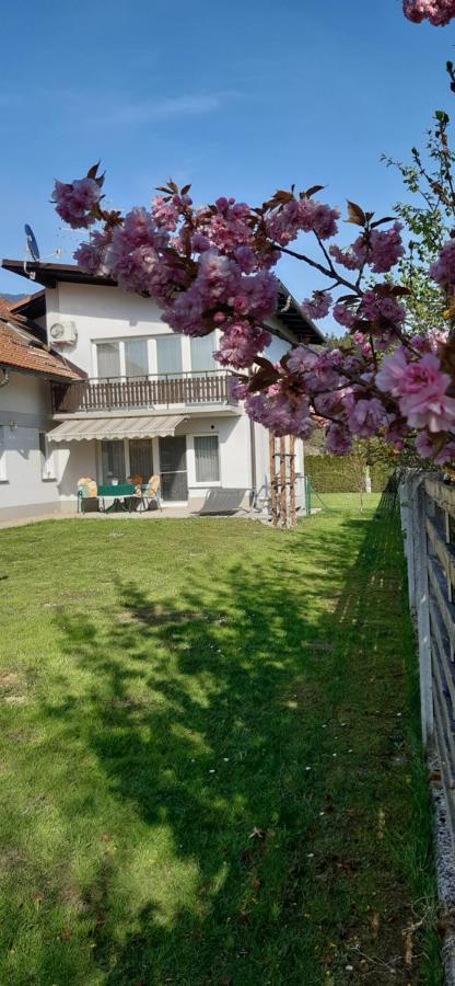 Apartmaji Mojca Križe Zewnętrze zdjęcie