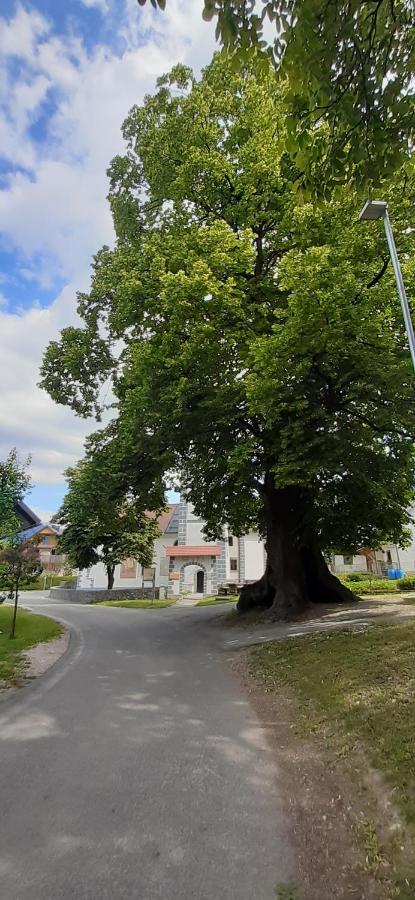 Apartmaji Mojca Križe Zewnętrze zdjęcie