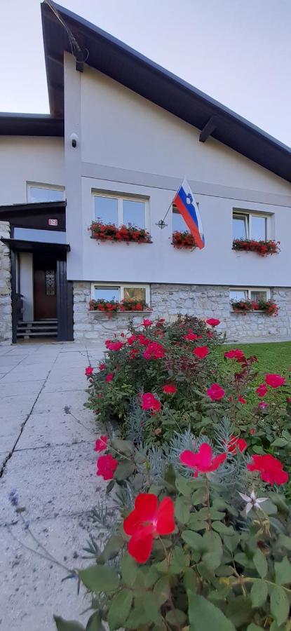 Apartmaji Mojca Križe Zewnętrze zdjęcie