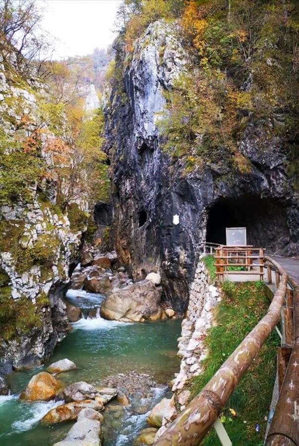 Apartmaji Mojca Križe Zewnętrze zdjęcie