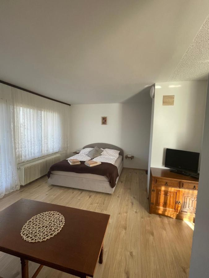 Apartmaji Mojca Križe Zewnętrze zdjęcie