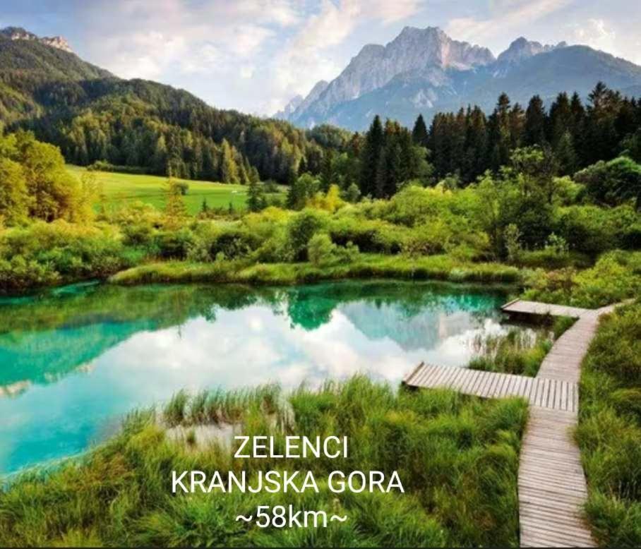 Apartmaji Mojca Križe Zewnętrze zdjęcie