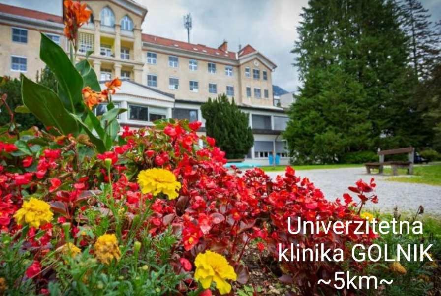 Apartmaji Mojca Križe Zewnętrze zdjęcie